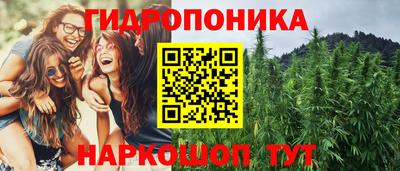 гашиш Заводоуковск